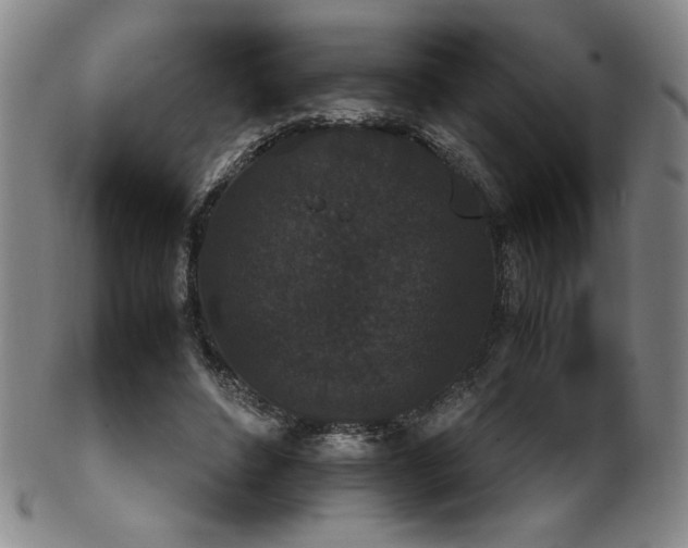 X0000102470496200808081254
