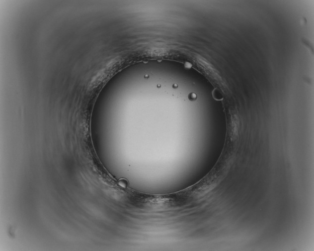 X0000102470497200808081254