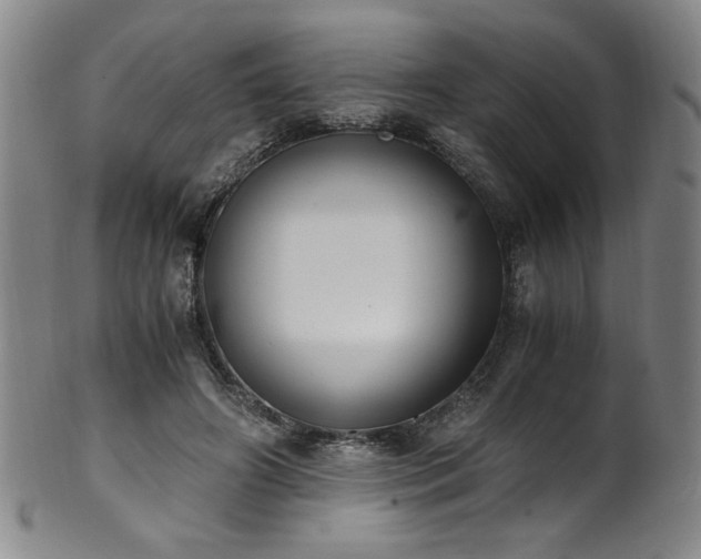 X0000102470498200808081254