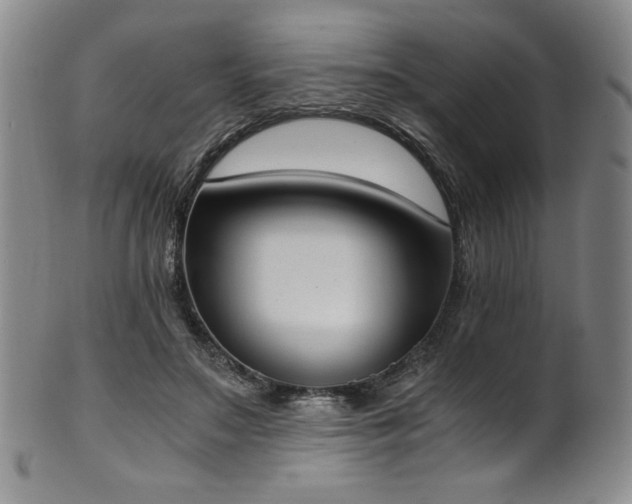 X0000102470499200808081254