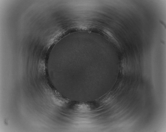 X0000102470500200808081254