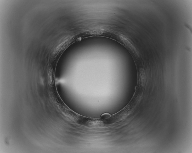X0000102470501200808081254