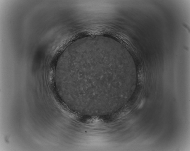 X0000102470503200808081254