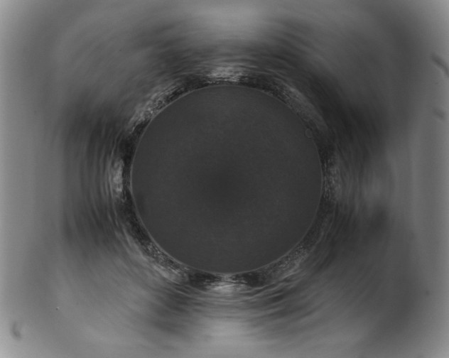X0000102470504200808081254