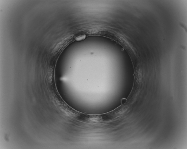X0000102470505200808081254