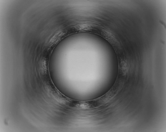 X0000102470506200808081254