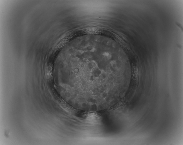 X0000102470507200808081254