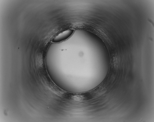 X0000102470508200808081254
