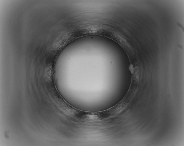 X0000102470509200808081254