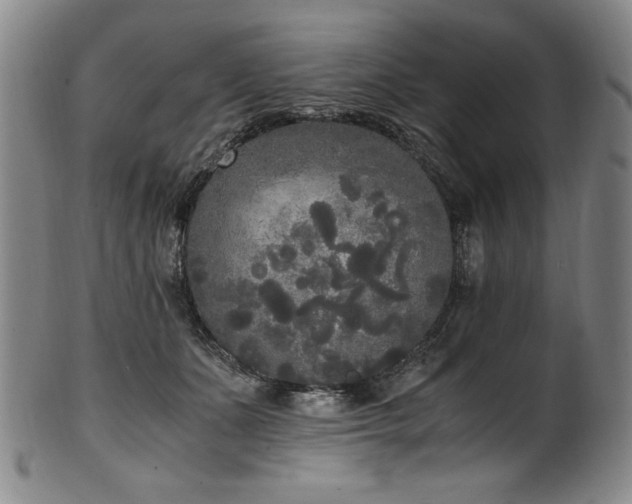 X0000102470511200808081253