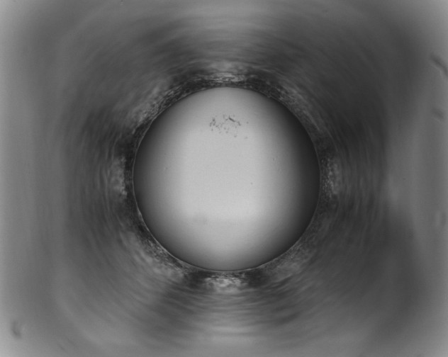 X0000102470512200808081253