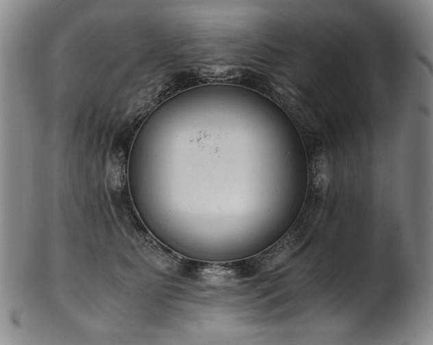 X0000102470515200808081253