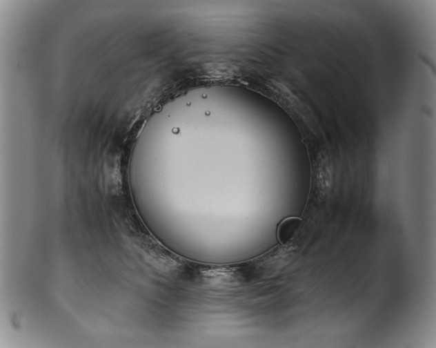 X0000102470516200808081253