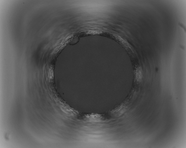 X0000102470517200808081253