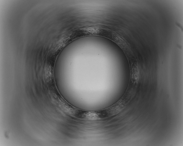 X0000102470518200808081253