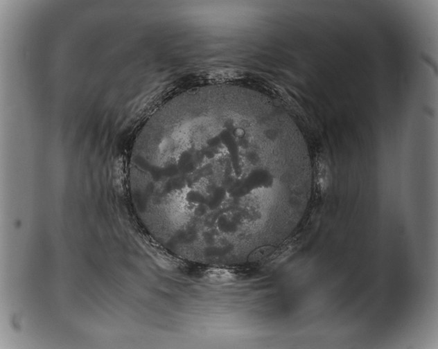 X0000102470519200808081253