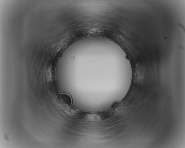 X0000102470520200808081253