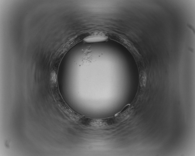 X0000102470521200808081253
