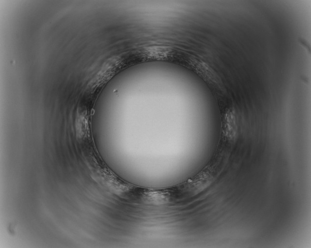 X0000102470522200808081253