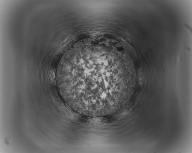 X0000102470523200808081253
