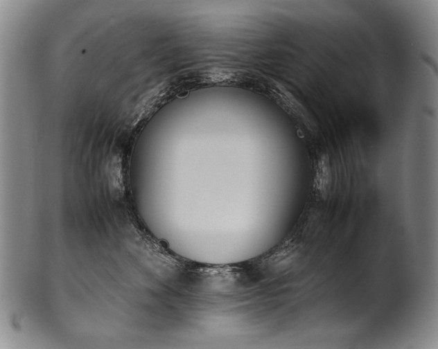 X0000102470524200808081253
