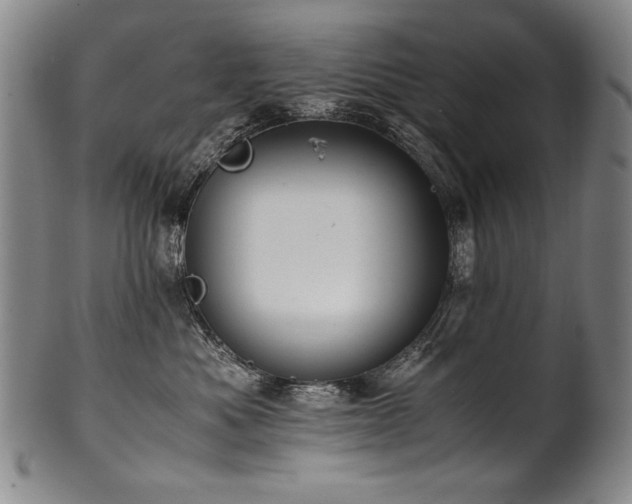 X0000102470525200808081253