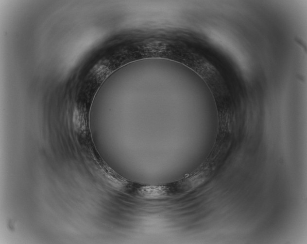 X0000102470526200808081253