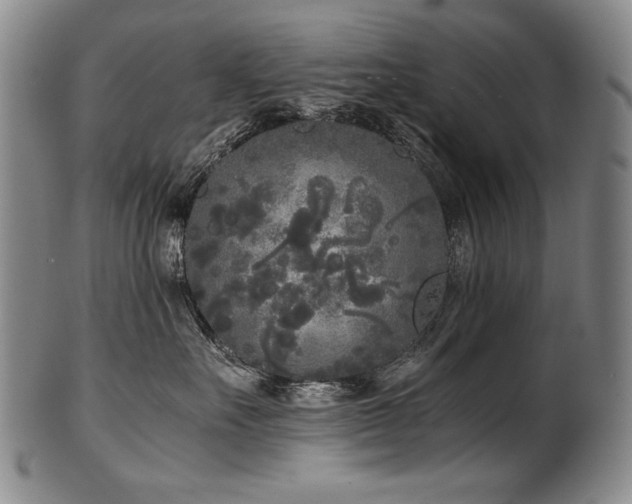 X0000102470527200808081253