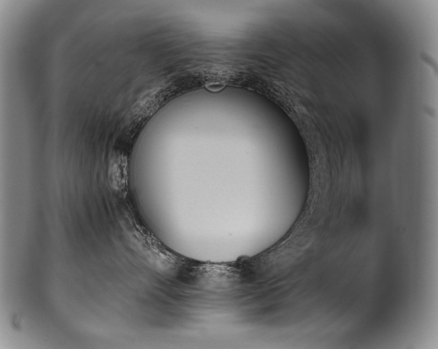 X0000102470528200808081253