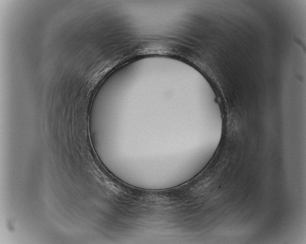 X0000102470529200808081252
