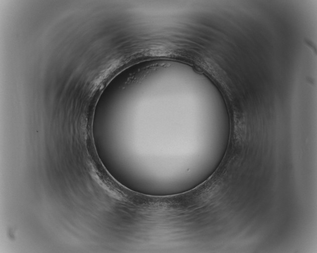 X0000102470530200808081252