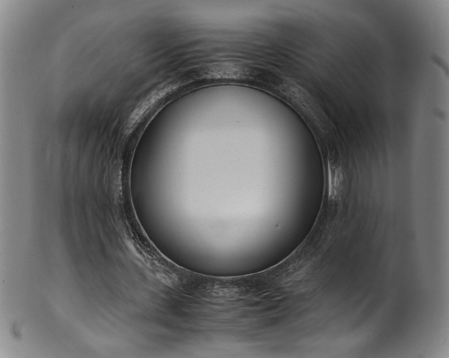 X0000102470531200808081252