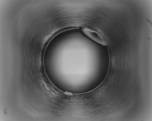 X0000102470532200808081252