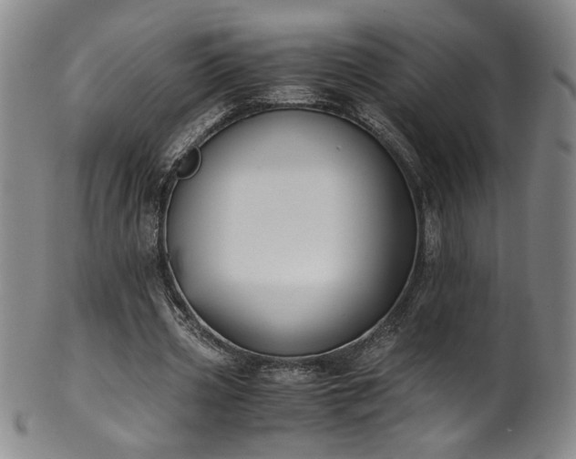 X0000102470533200808081252