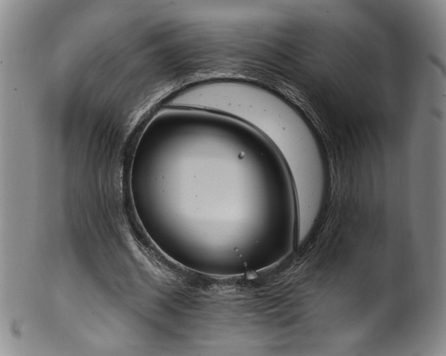 X0000102470534200808081252
