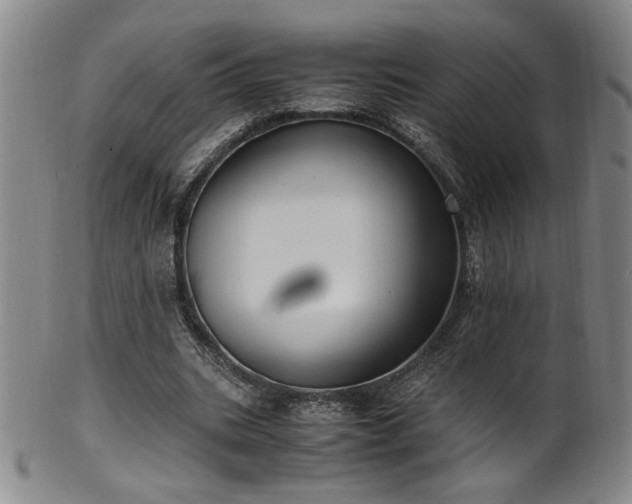 X0000102470535200808081253