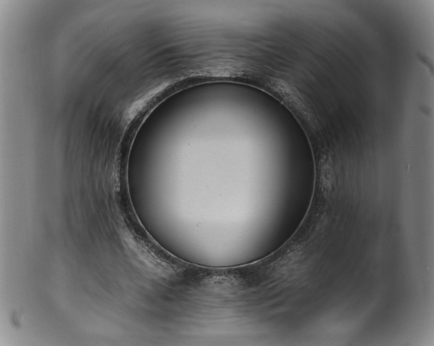 X0000102470536200808081253