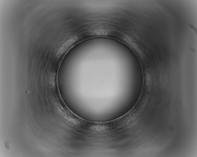 X0000102470537200808081253