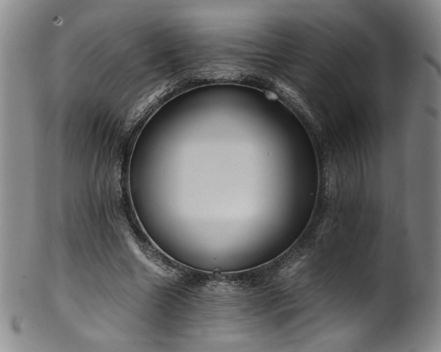 X0000102470538200808081253