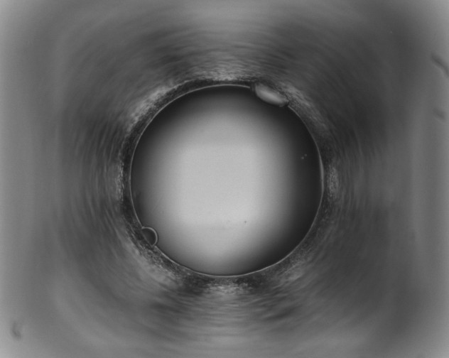 X0000102470540200808081253