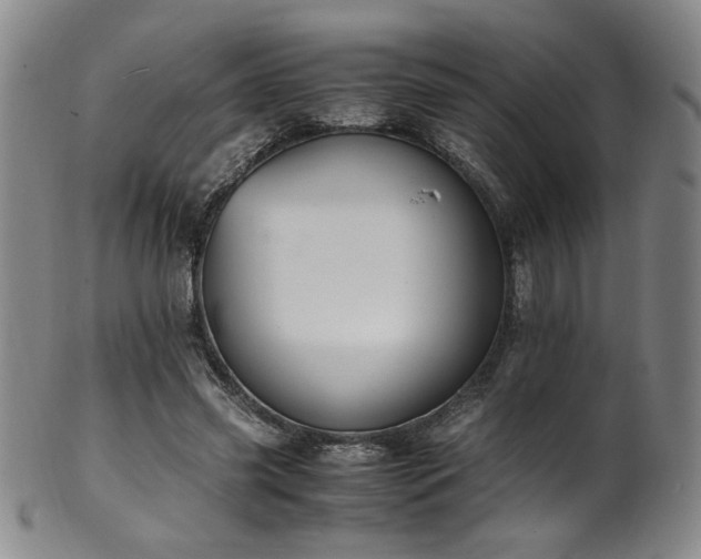 X0000102470541200808081253