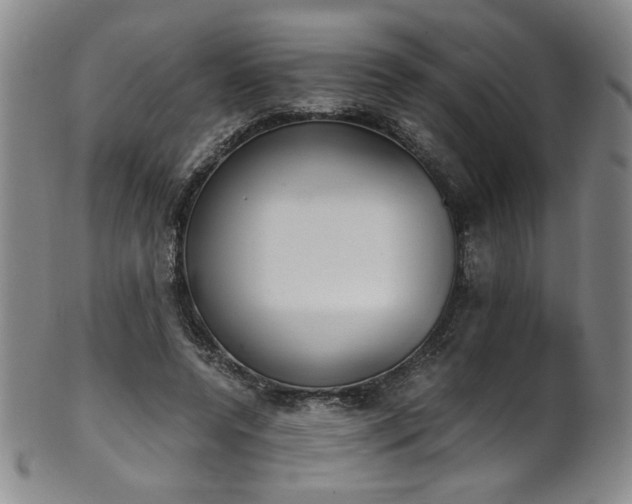 X0000102470544200808081253