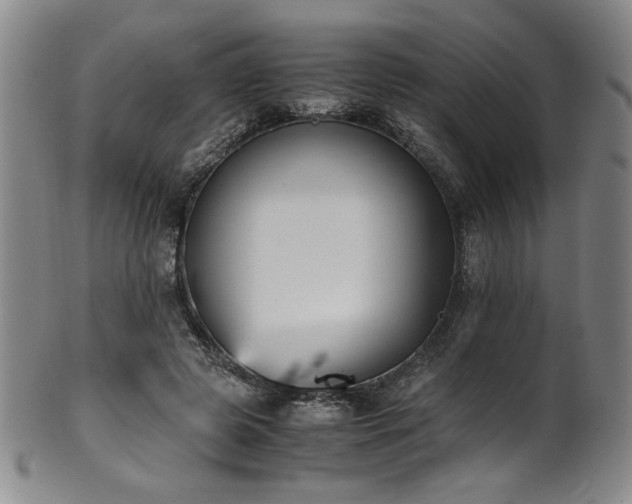 X0000102470545200808081253