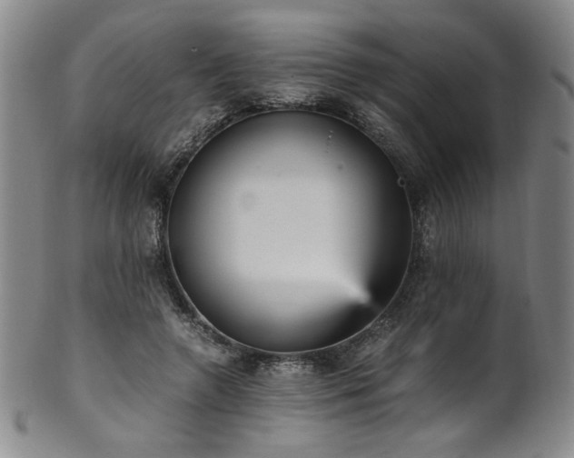 X0000102470546200808081253