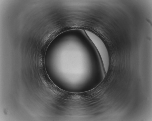 X0000102470547200808081253