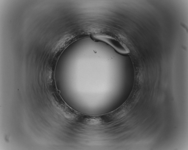 X0000102470548200808081253