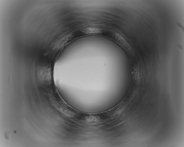 X0000102470549200808081253