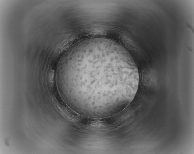 X0000102470550200808081253