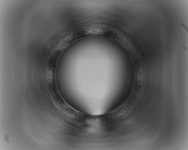 X0000102470551200808081253