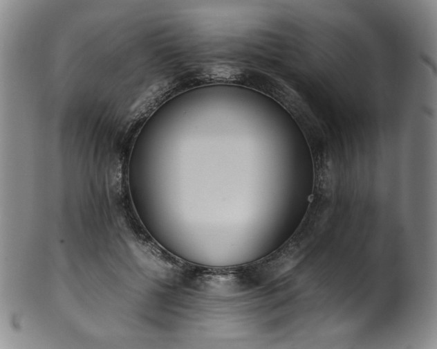 X0000102470552200808081253